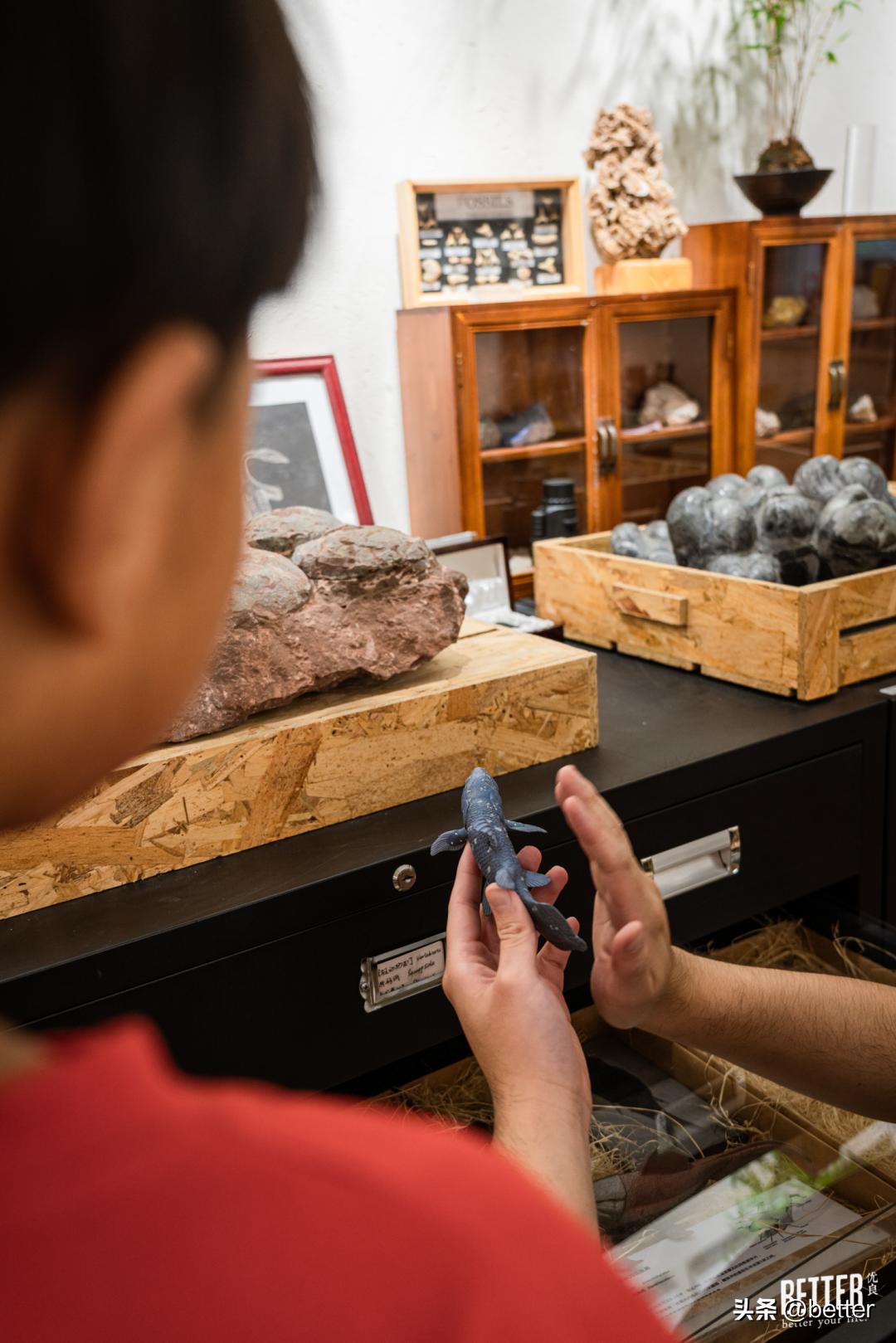 我在这家化石手作店，体验了一把「赌石」的快乐