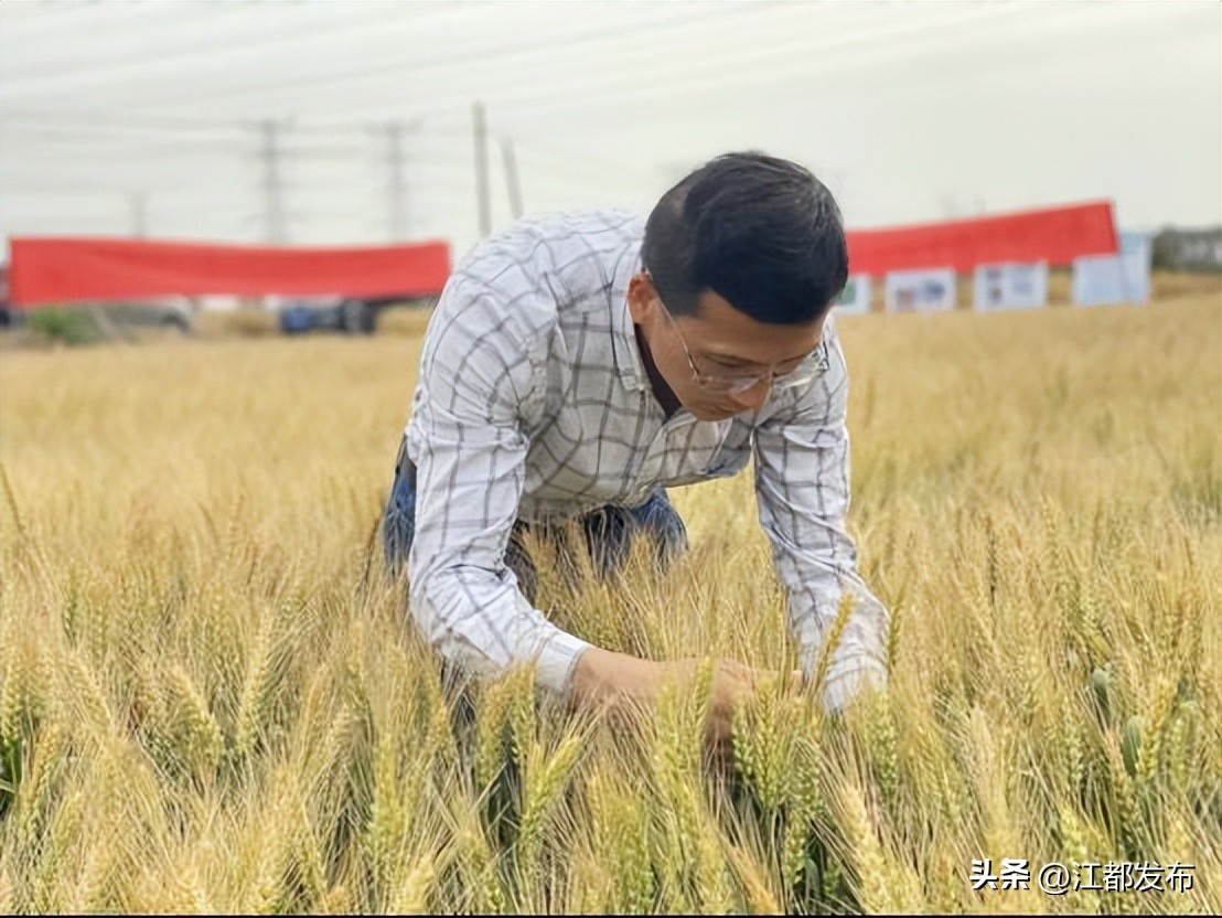 扬州新增人员名单今日新增多少,扬州时代新人名单