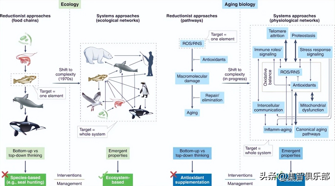 衰老分为生理性衰老和病理性衰老,衰老的特点与相关理论