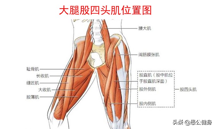 好的弹跳力是怎样来的？