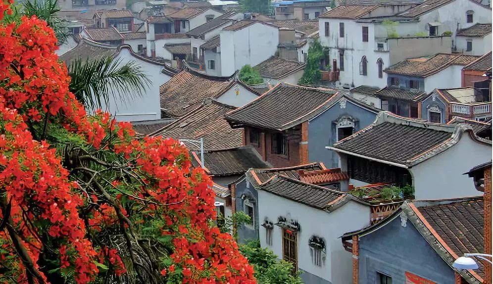 闽山闽水物华新在师生中引热议,闽南旅游推荐漳州旅游攻略