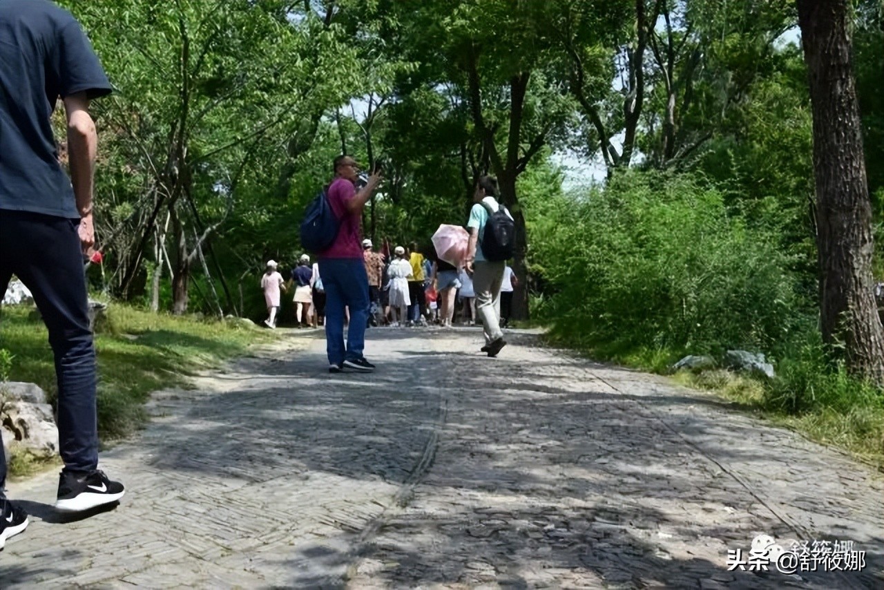 苏州园林拙政园地址,苏州园林路拙政园