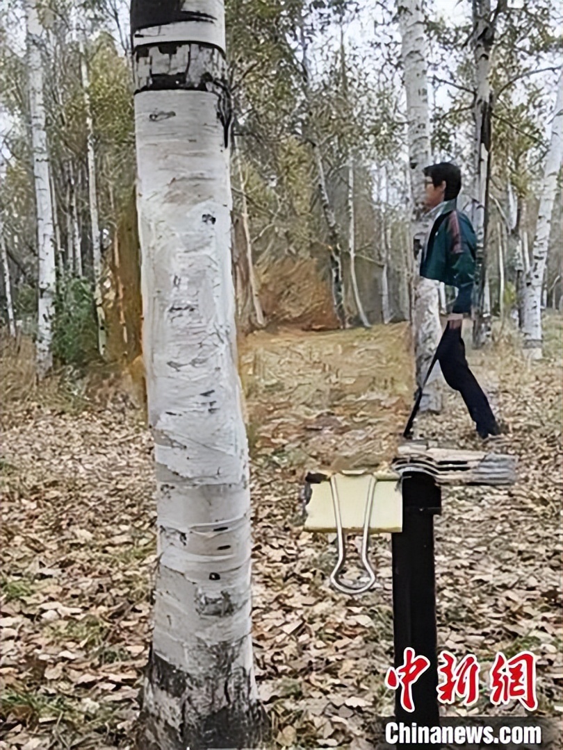 长春小伙用影子画画,吉林男子用纸笔展示画画消失术