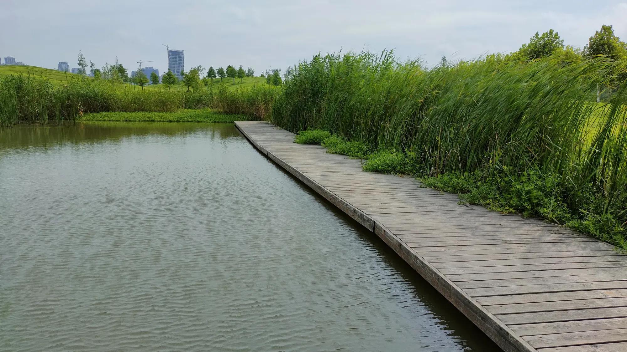 安康到合肥自驾沿途旅游景点,合肥哪些旅游景点春节期间免费