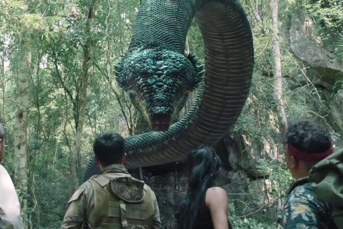 被蛇吞下是什么感觉？科学家身穿盔甲以身试验，心率直接飙升180