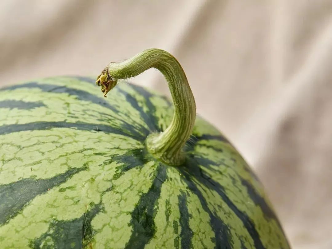 错过了整个四月,上海人绝不会再错过8424