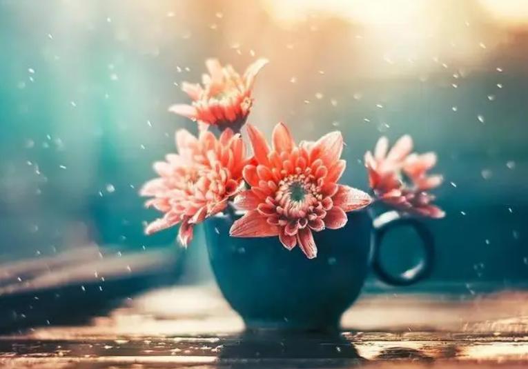 财运不好的人会怎么样,财运不好的人如何办