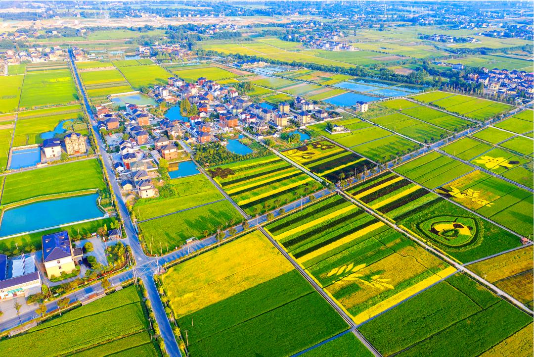 乡村振兴100讲全集,100个经典乡村振兴案例