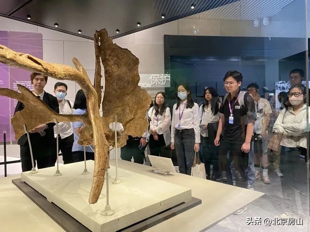 青创赛挑战杯,青创北京挑战杯是由指导老师带吗