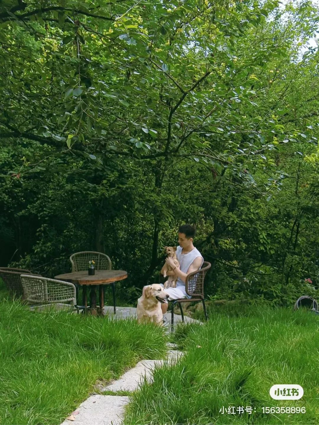 躲进山里民宿,躲在深山老林的民宿