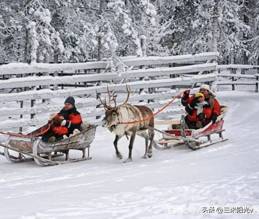 芬兰的生活是怎样的？定居四年、月入六万的弟弟为何要回国发展？