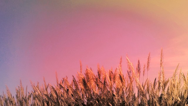 营销策略微商运营策略,微商运营精准营销用户画像