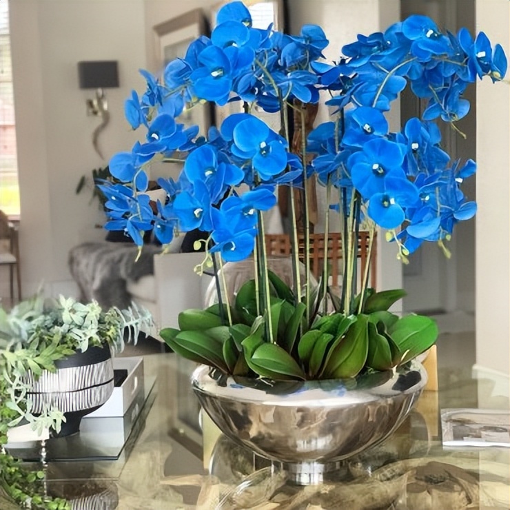 种植业什么最赚钱农村,农村种植创业成功的方法有哪些