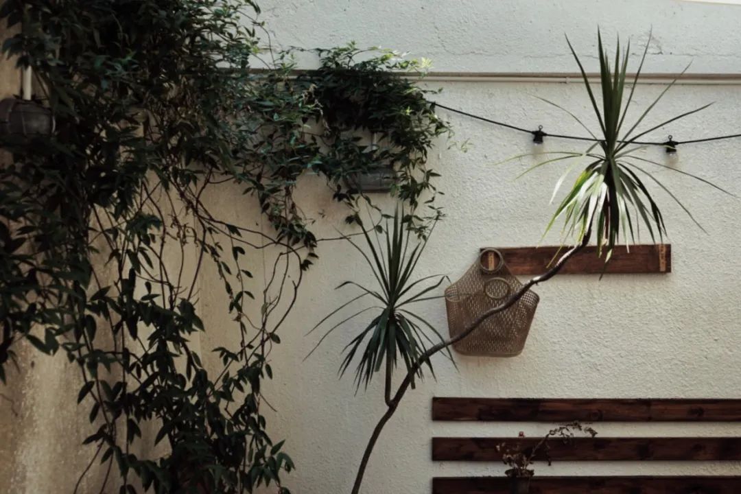 长沙最值得去的咖啡馆,长沙最值得打卡的十大网红咖啡店