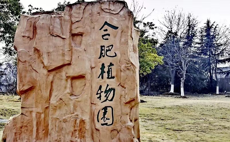 合肥旅游必去十大景点推荐最新,合肥旅游必去十大景点推荐一下