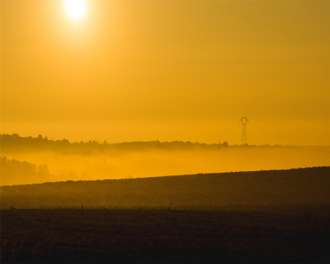 50张顶级绿色绝美壁纸,100张惊艳全屏壁纸风景
