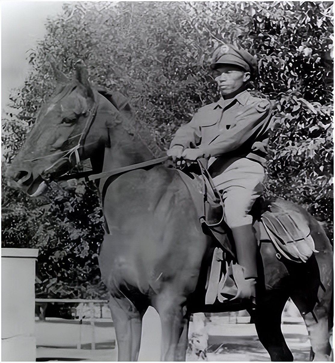 抗日英雄隐瞒身份70年,抗日英雄被顶替捡煤球为生