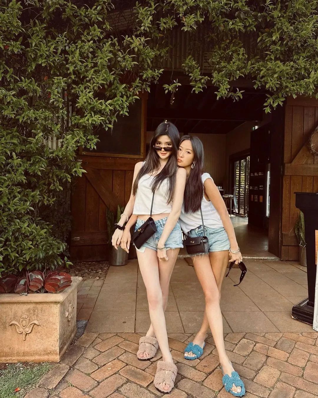 贵妇鄙视链,贵妇炫耀爱马仕包