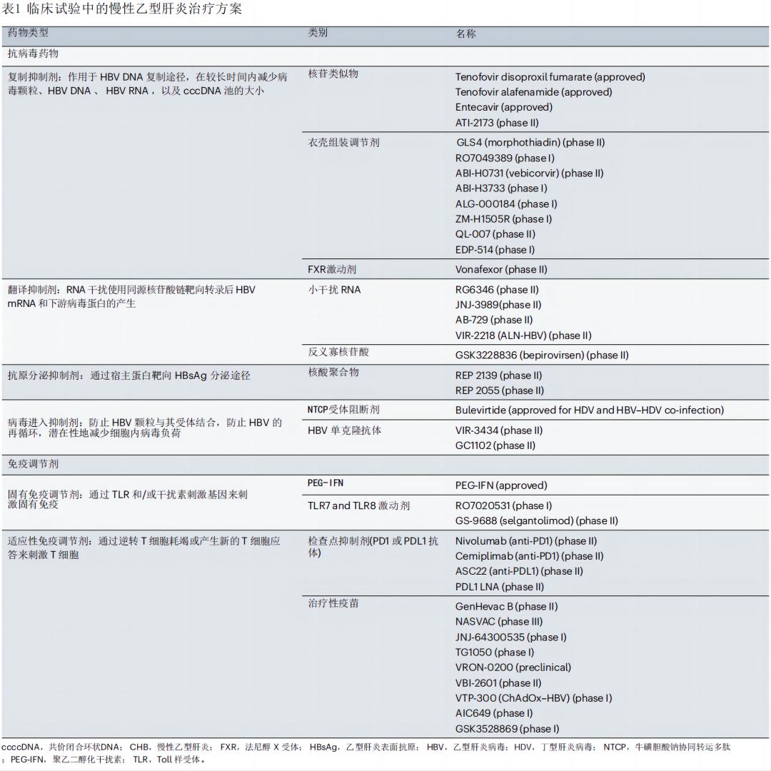 慢性乙型肝炎的最重要的治疗,慢性乙型肝炎的治疗进展文献综述
