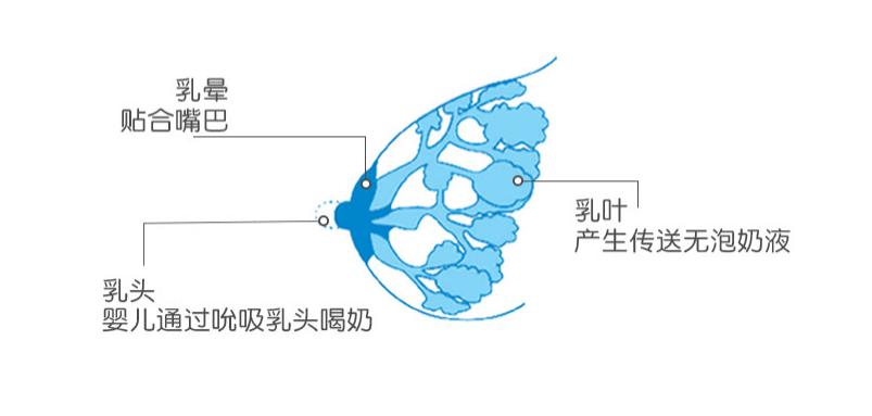 宝宝防胀气奶瓶正确的用法,婴儿防胀气奶瓶怎么挑选