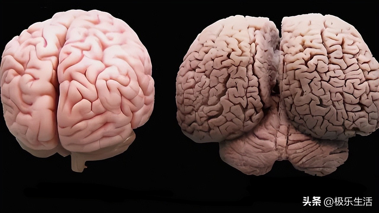 罕见的28张图片看了让人大开眼界,令人大开眼界的二十张图