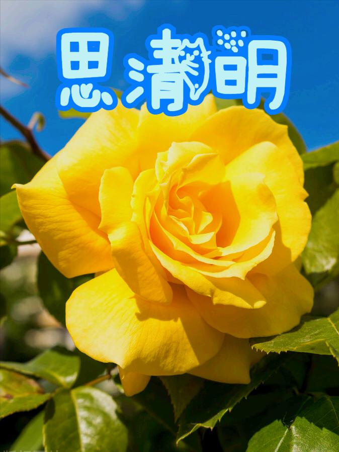 清明节雨纷纷举国上下寄哀思,清明节伤感词思念天堂的父母