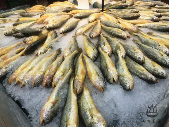 过年除了送烟酒茶还送什么,送烟酒茶送什么礼物