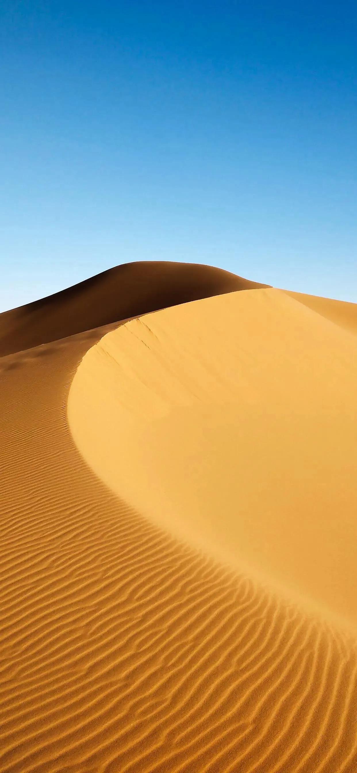 沙漠壁纸图片大全高清,苹果专用沙漠壁纸全屏