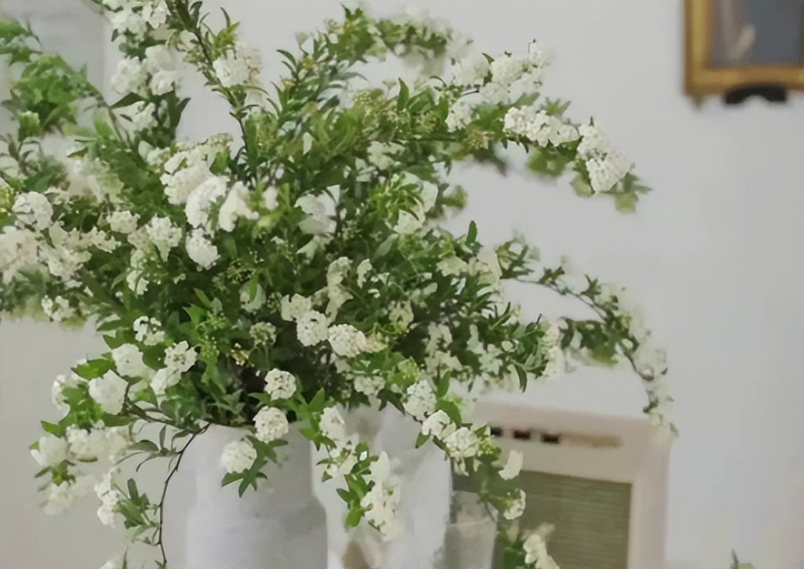 卖花怎么找当地鲜花批发市场,新手鲜花摆摊推荐哪种好卖