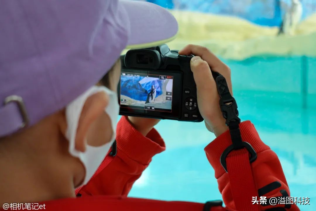 孩子喜欢摄影怎么培养,培养孩子摄影兴趣