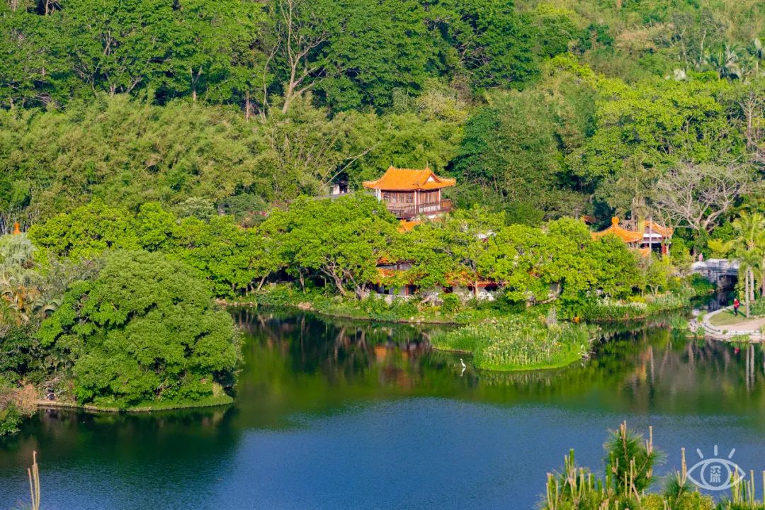 国内好看小众的湖泊,深圳好玩的湖泊有哪些