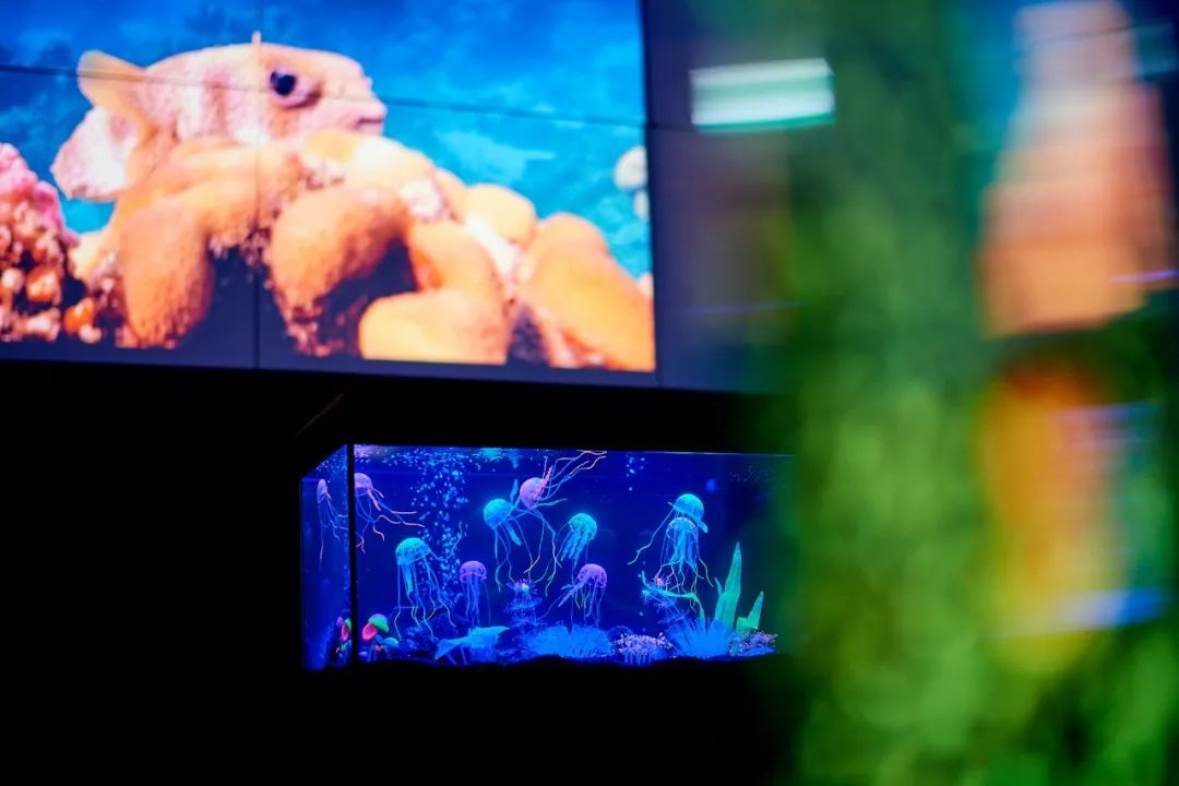 震撼世界的发布会,感受当年震撼世界的发布会