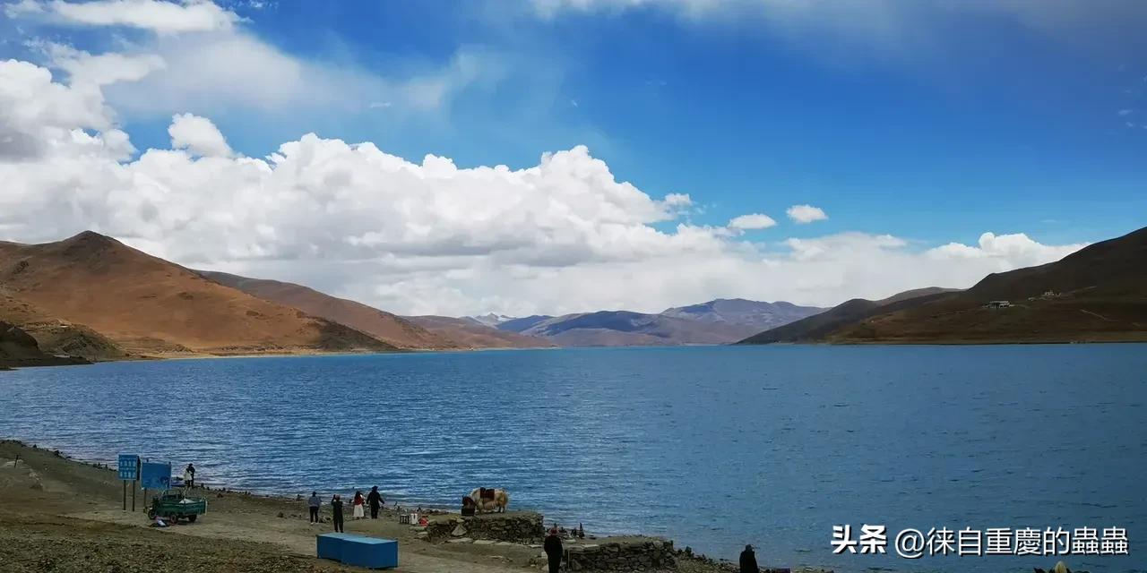 大学毕业证学位证就不发了,大学生毕业证还有学位证么