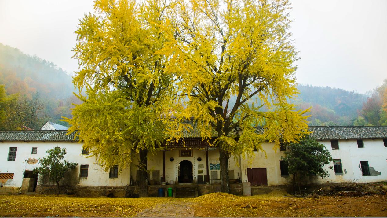 安徽古镇旅游攻略,安徽人游安徽风情淮河