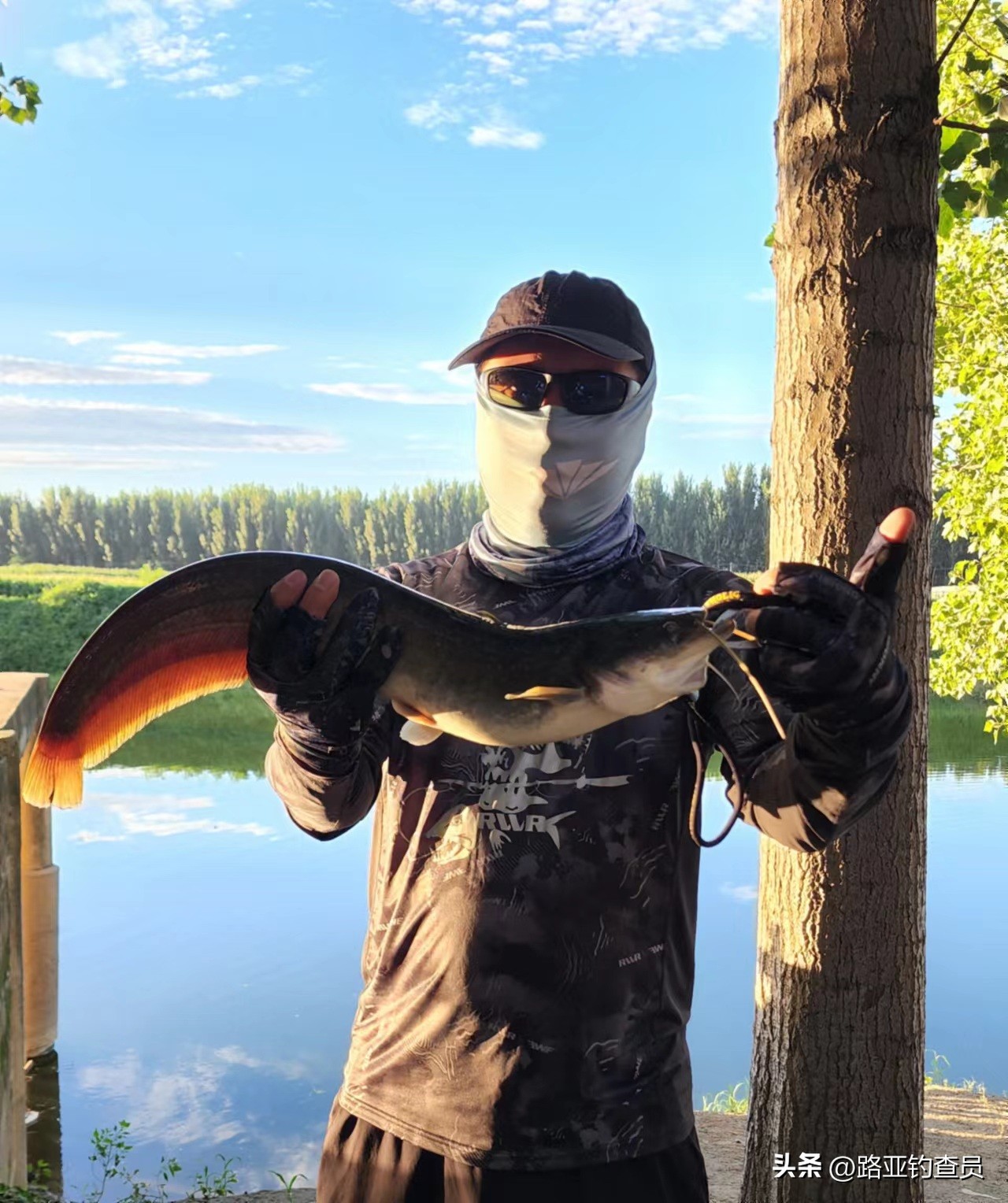 本塑路亚箱值得买吗,本塑路亚箱装鱼