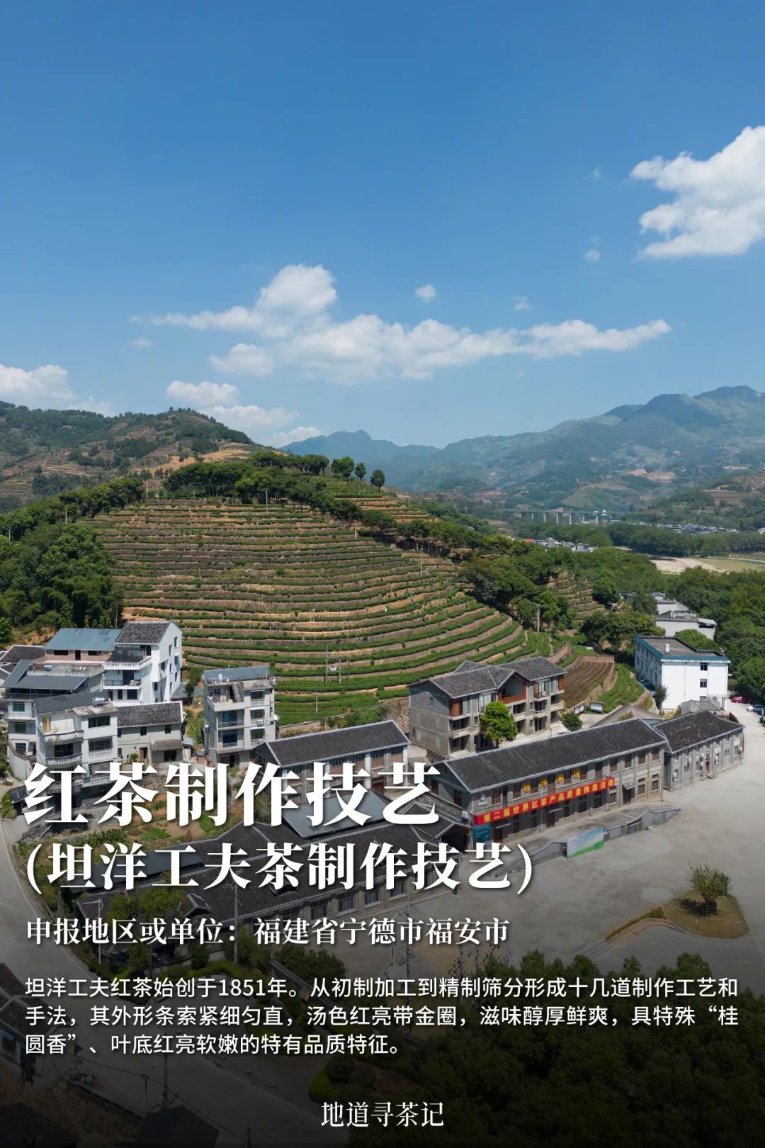 史上最全“中国传统制茶技艺及其相关习俗”展示，建议收藏！