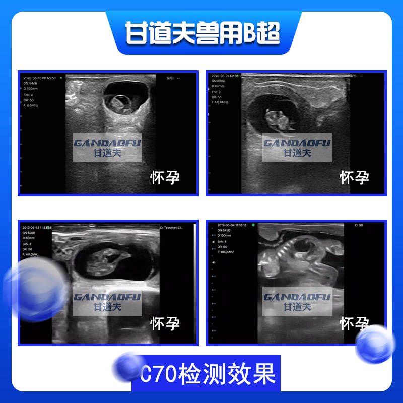 驴马用B超使用方法教程超声图像判断分析