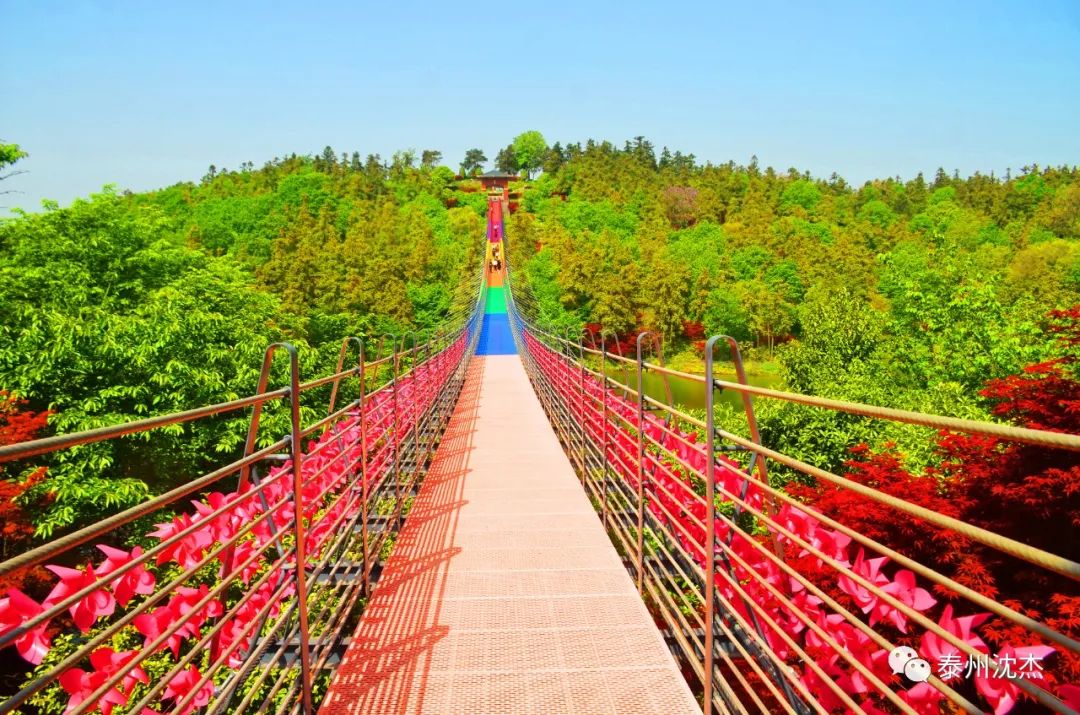 南京银杏湖春游,银杏湖乐园旅行