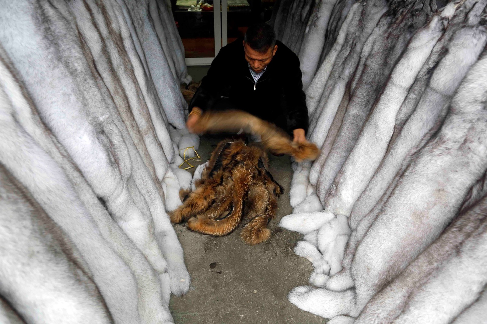 沙俄对西伯利亚的毛皮贸易,17世纪的西伯利亚