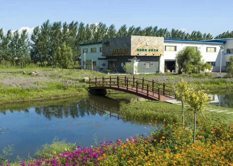 奥运冠军网红打卡地,奥运冠军之城有哪些