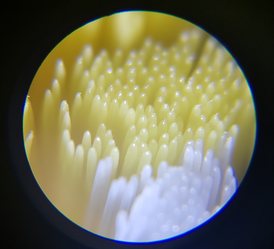 儿童电动牙刷欧乐b,儿童电动牙刷牌子测评舒客飞利浦