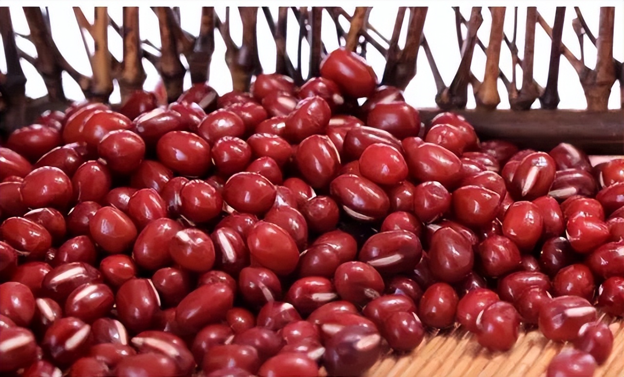 长寿豆粒,长寿豆防痴呆