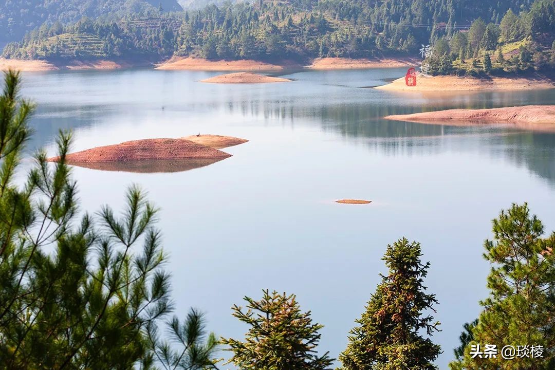 一座鲜为人知的公园,最冷门的森林公园