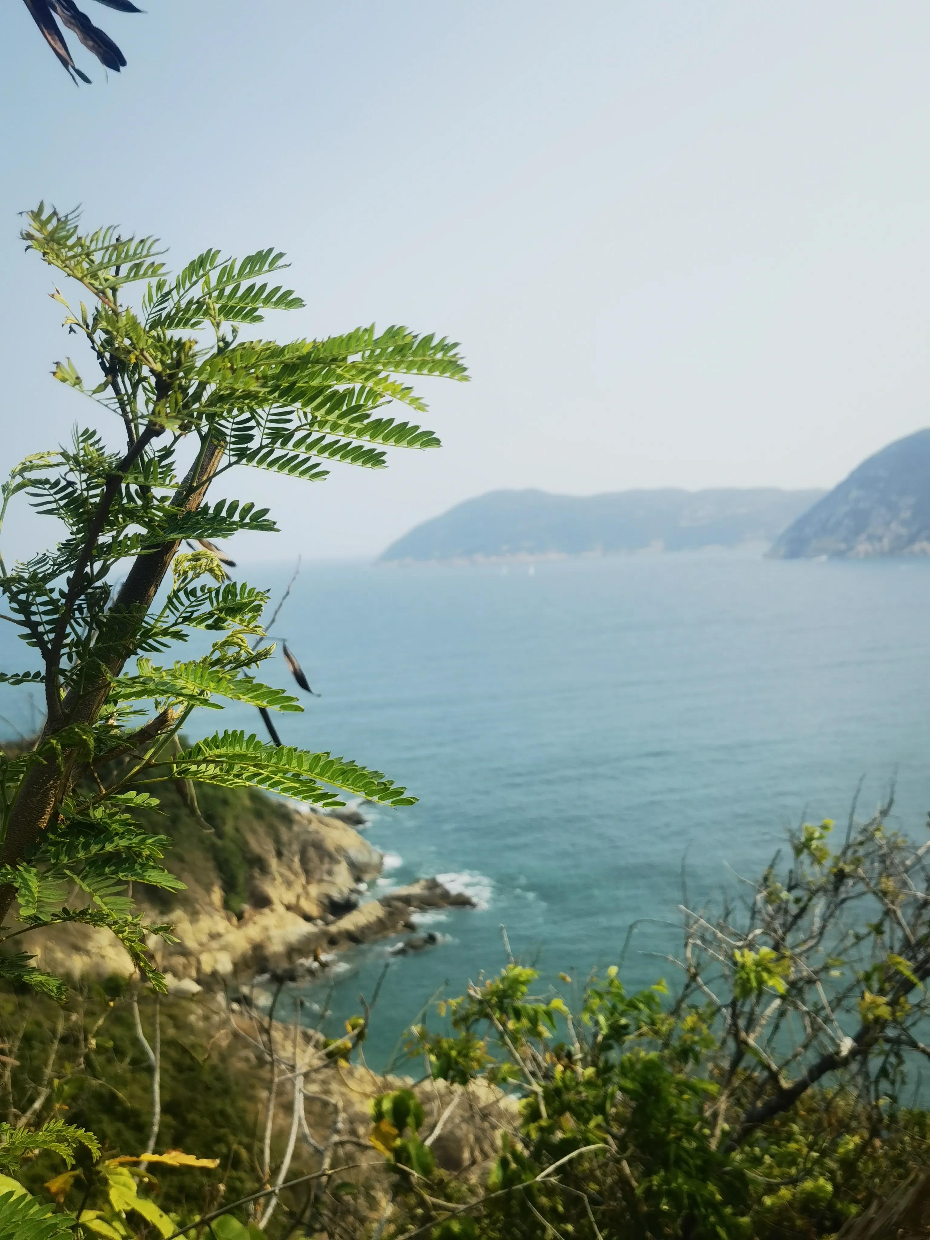 香港三日游和澳门一日游最佳线路,香港三日游最佳攻略