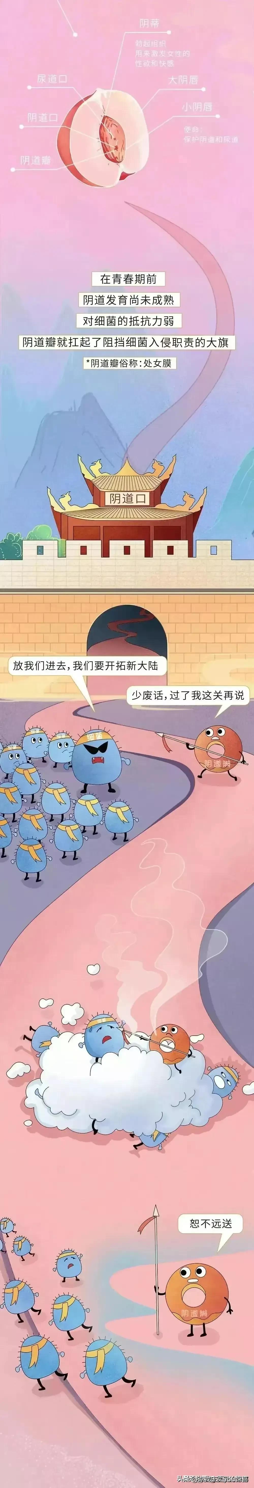 女性安全知识漫画,漫画女性安全知识