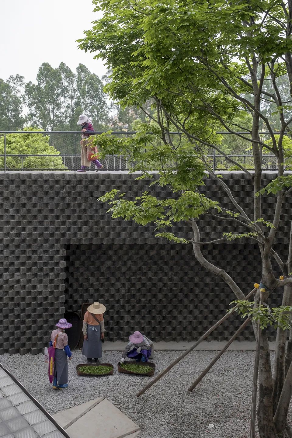 中国茶申遗成功吗,中国茶申遗成功44项名单