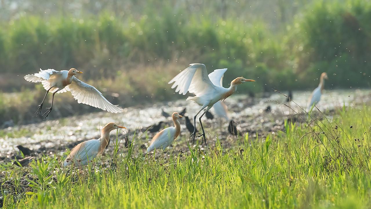 有关夏天的经典诗词,有关夏天的古诗词经典唯美名句
