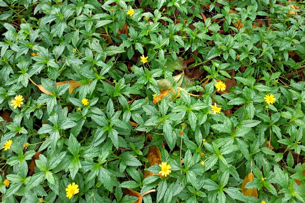 李贺最著名十首诗句,李贺的最经典诗词