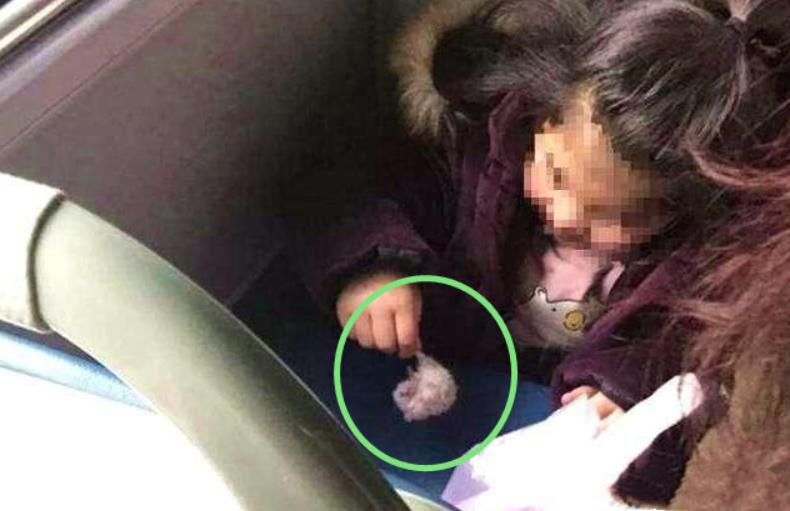 6岁公主活成“脚链囚徒”,背后的动物表演让人心疼