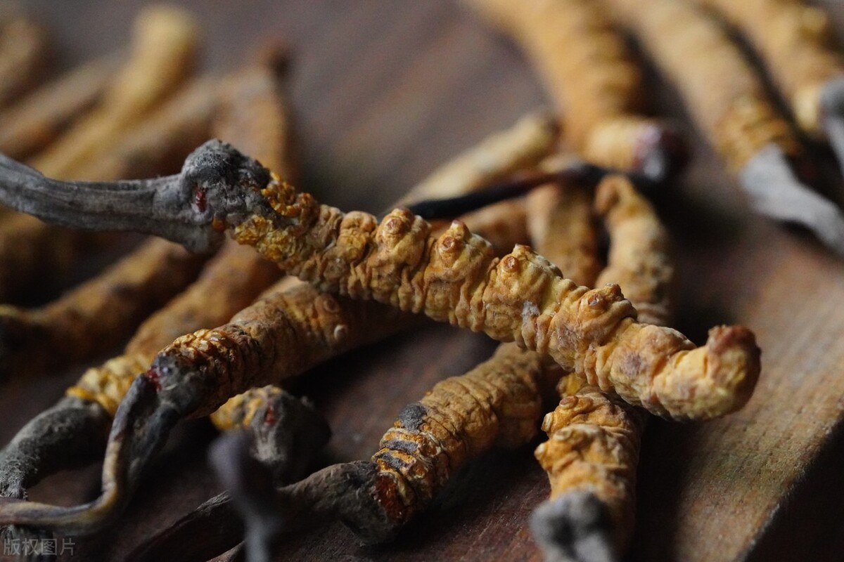 冬虫夏草发霉正常吗能吃吗,冬虫夏草发霉后还能吃吗